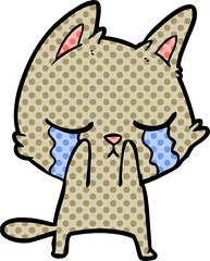 crying cartoon cat