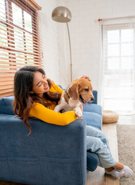 Vertical image of young Asian girl hug beagle dog and stay on sofa of living room of her house with day light.