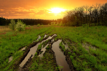 puddles on dirt road at sunset