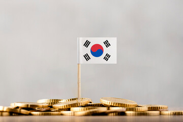 The Flag of South Korea with Coins.