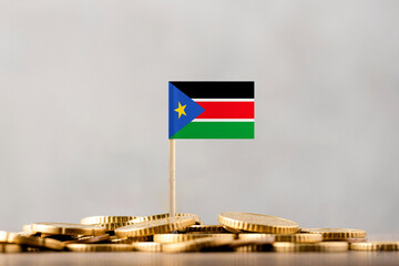 The Flag of South Sudan with Coins.