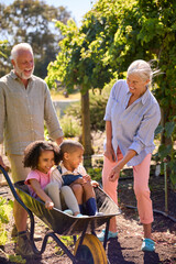 Grandchildren Pushed In Barrow By Grandparents Working In Vegetable Garden Or Allotment
