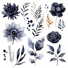 Set of deep black floral watecolor. Flower black, black leaves. Floral poster, invitation floral. Vector arrangements for greeting card or invitation design	