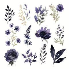 Set of deep black floral watecolor. Flower black, black leaves. Floral poster, invitation floral. Vector arrangements for greeting card or invitation design	