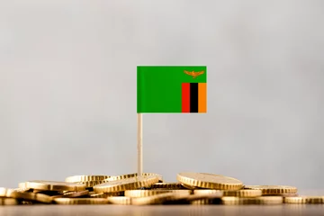 Foto op Aluminium The Flag of Zambia with Coins. © hyotographics