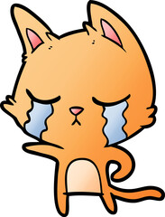 crying cartoon cat pointing