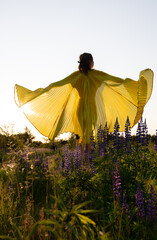 slender female silhouette stands at sunset in field flowers, spreading large wings against the...