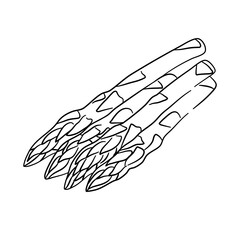 Hand-drawn black sketch of an Asparagus vegetable. Doodle-style icon. Vector illustration.