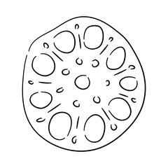 Hand-drawn black sketch of Lotus root. Doodle-style icon. Vector illustration.
