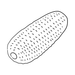 Vector illustration of a cucumber in hand-drawn black sketch style. Doodle icon.