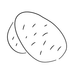 Hand-drawn black sketch of a potato in a doodle icon. Vector illustration.