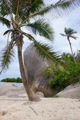 Paysages de La Digue aux Seychelles