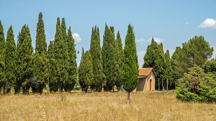 Paysage de Provence.