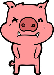 angry cartoon pig