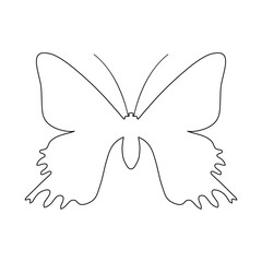 The insect concept is presented in the form of a butterfly silhouette icon on a white background.