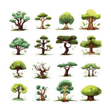 trees flat vector illustrations set. Exotic beach plants isolated design elements pack. Green leaves branches and trunks cartoon collection on white background.