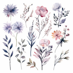 set of floral watercolor smoky grey