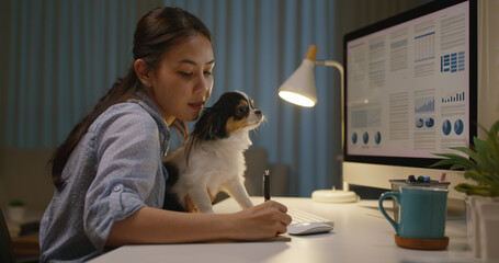 Young asia single woman remote work late night at home office workspace hug kiss cute sleepy chihuahua dog. Pet as child millennial lifestyle. Small animal puppy stress relief therapy for workforce.