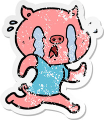 distressed sticker of a crying pig cartoon