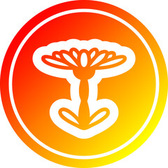 blooming flower circular icon with warm gradient finish