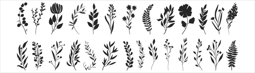 Minimal feminine botanical floral branch in silhouette style. Hand drawn wedding herb, minimalistic flowers with elegant leaves. Botanical rustic trendy greenery vector © vita_olivko