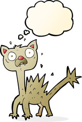 cartoon scared cat with thought bubble