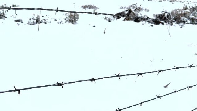 Tilt Up Along Barbed Wire Fence Along Kolob Terrace Road in Zion