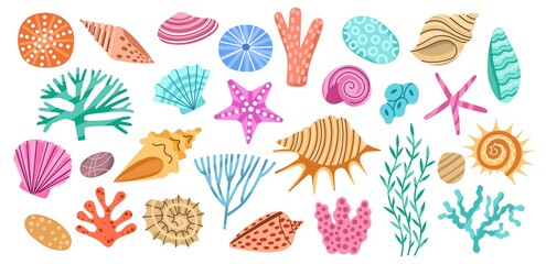 Cartoon seaweeds and corals. Color seashells, marine algae, underwater nature, doodle style conches, sea and ocean elements, vector set