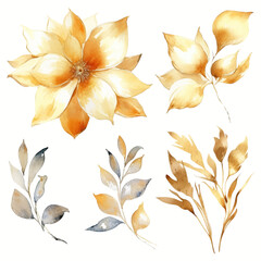 Set of golden floral watecolor. flowers and leaves. Floral poster, invitation floral. Vector arrangements for greeting card or invitation design	