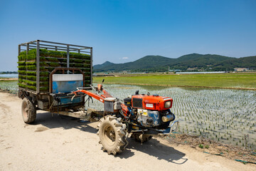Rural landscape in Korea - the beginning of rice farming, rice planting using a cultivator