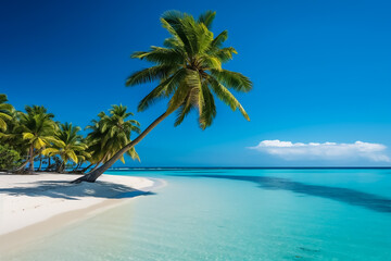 Fototapeta na wymiar Beautiful sunny view of seascape with tropical palm tree