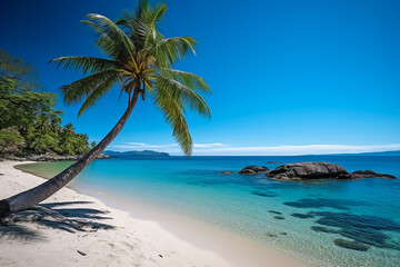 Fototapeta na wymiar Beautiful sunny view of seascape with tropical palm tree