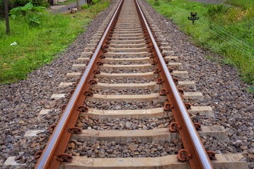 Fototapeta premium railroad tracks in the countryside