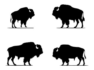 Bison Silhouette black color vector © Furqan