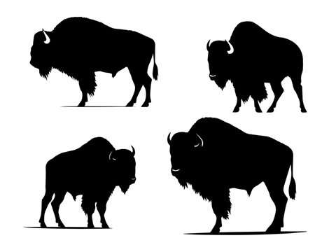 Bison silhouette vector A set of 4 bison vectors