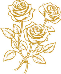 Hand drawn roses. Sketch rose flowers with buds, leaves and stems . golden vintage etching vector botanical isolated on transparent. Illustration of rose petal, sketch botany floral plant, PNG and SVG