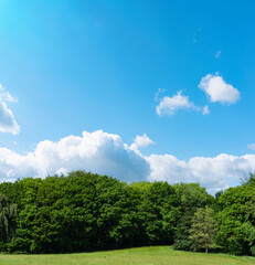 Obraz premium Natural landscape with blue sky and coludy over green forest tree with grass fields in the sunny day for summer,Fresh air landscape environment in public park