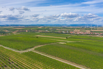 Bird's-eye view of the vineyards near Flonheim - Germany in Rheinhessen