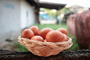 Chicken eggs in a wicker basket