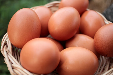 Chicken eggs in a wicker basket