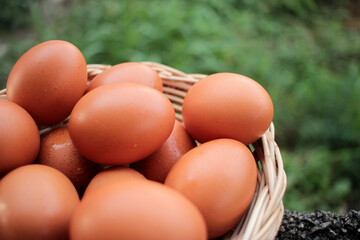 Chicken eggs in a wicker basket