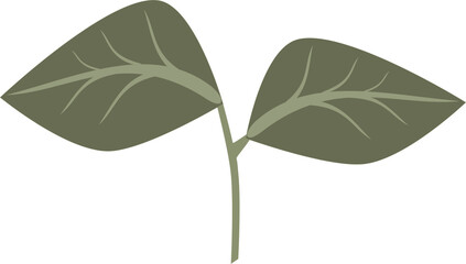 Green two leaves plant illustration. Cartoon style.