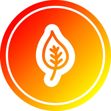 natural leaf circular icon with warm gradient finish