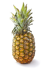 isolated Pineapple