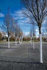 Baumallee mit gekalkten Stämmen in Kitzingen Landesgartenschaugelände