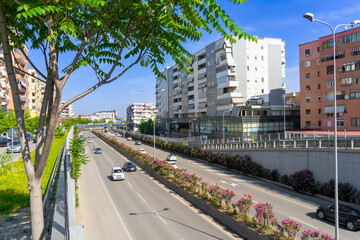 Tirana Albania main road in sprint with pink flower
