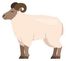 Cartoon ram icon. White sheep livestock animal