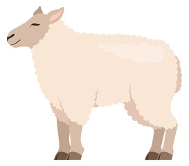 White sheep icon. Cartoon farm animal. Domestic fauna