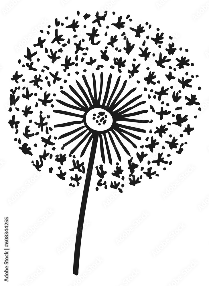 Wall mural dandelion in black ink drawing. floral decorative sketch