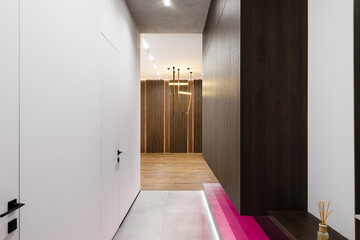stylish interior of a corridor in a new apartment with white walls and dark furniture